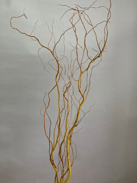 Салекс золотистый 120 см (упак 5 шт)