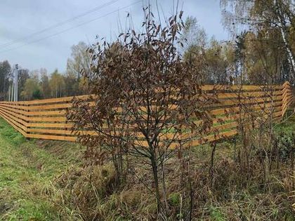Завершено ограждение центральной части «Усадьбы Романово» с северной стороны