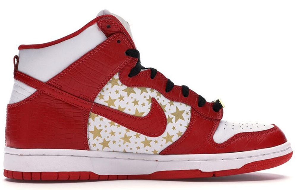 Nike dunk sb pro high hotsell