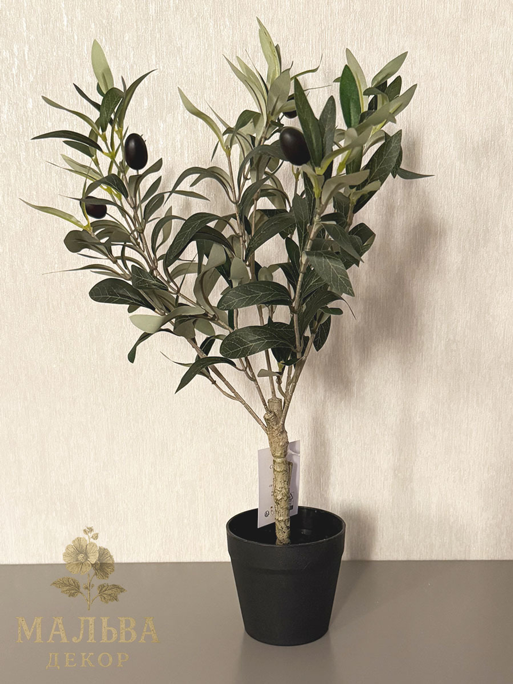 Олива в кашпо 15x15x50 см