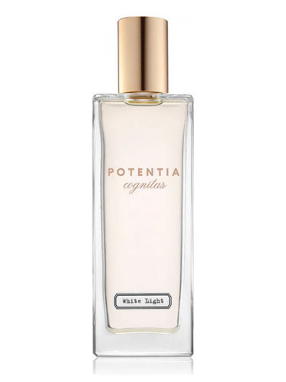 The House Of Potentia White Light