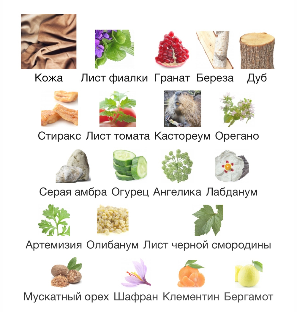 The Vagabond Prince Land Of Warriors