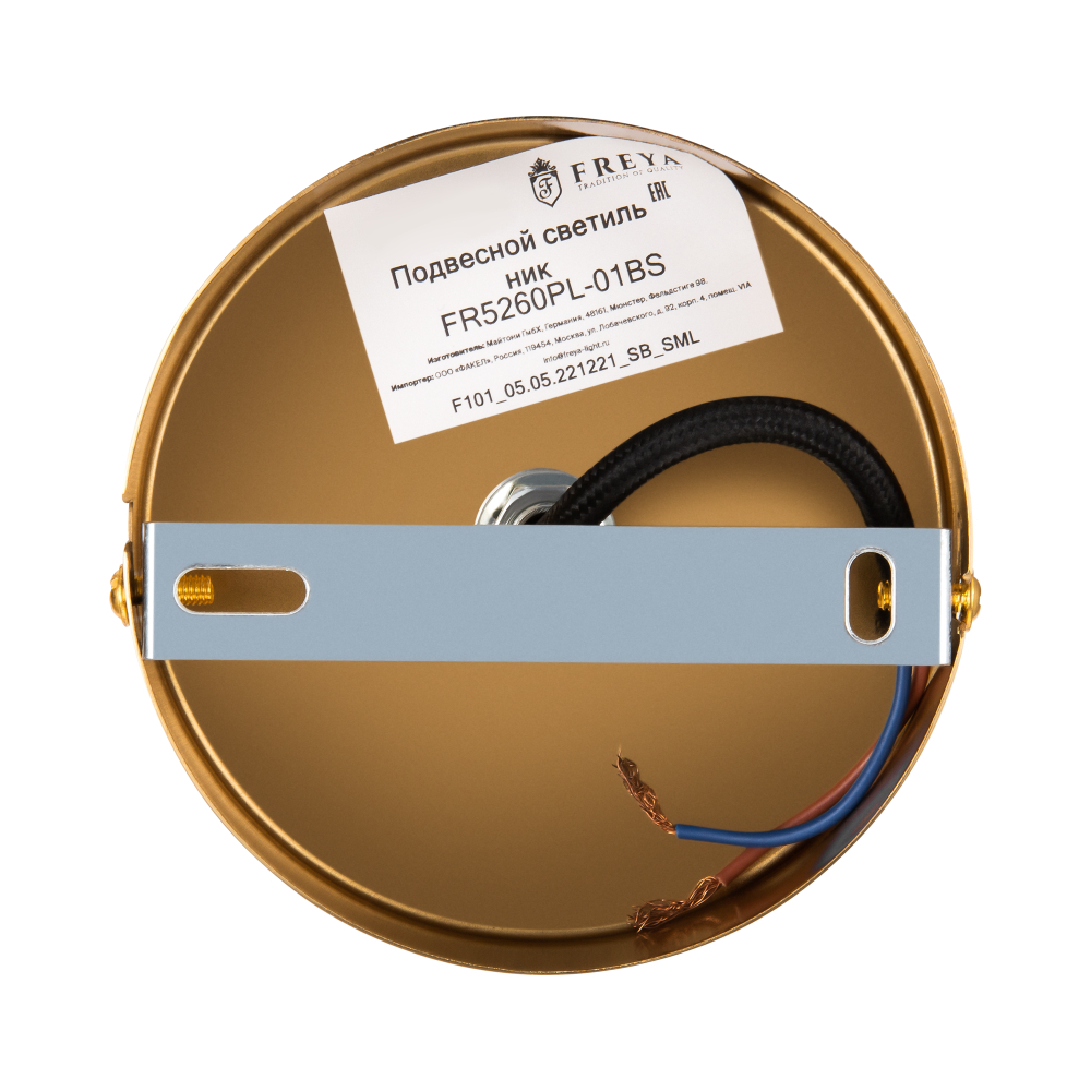 Подвесной светильник Freya FR5260PL-01BS