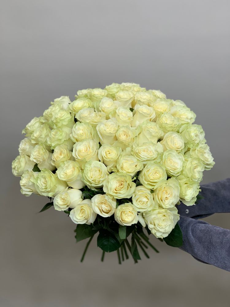 Букет 51 белая роза Эквадор 50см в ленте