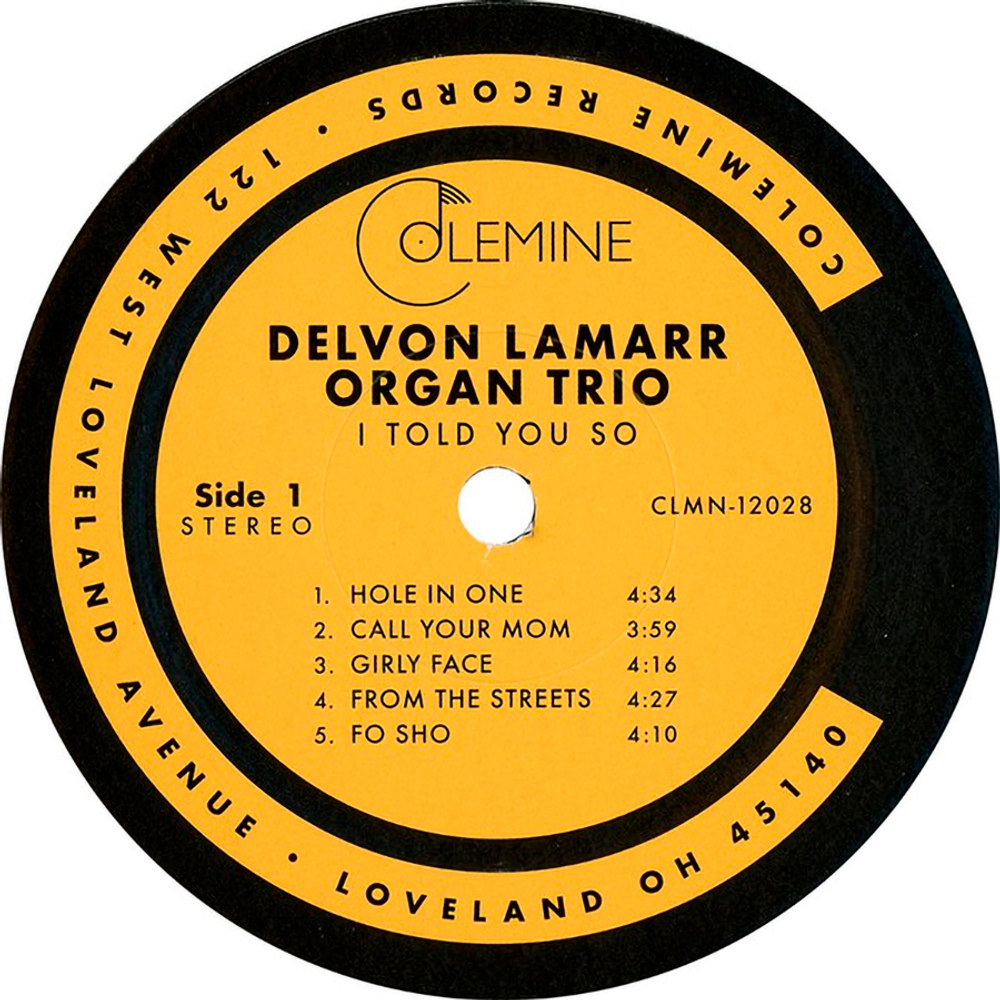 Delvon Lamarr Organ Trio / I Told You So (LP)