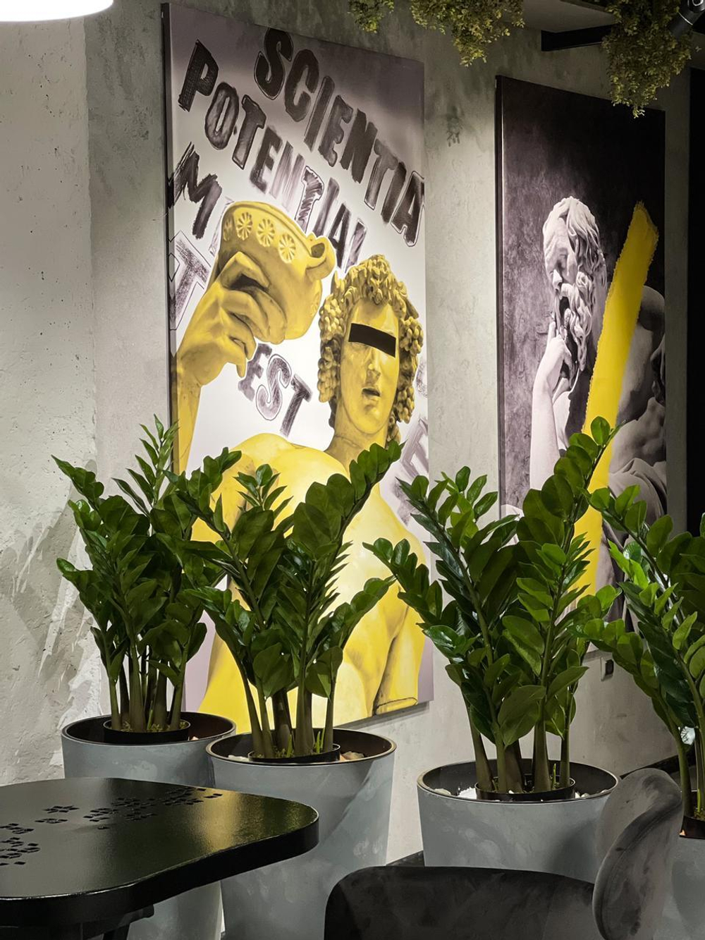 Озеленение искусственными растениями кофейни "Диалог". г.Краснодар