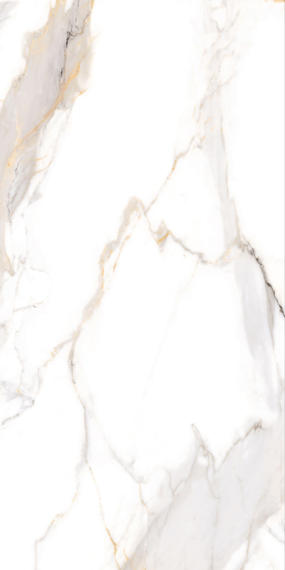 NT Ceramic Bright And Shiny NTT9120 Calacatta Light Grey mat 60x120