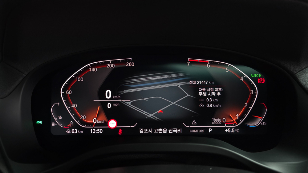 BMW X4 (G02) xDrive20i M Sport X