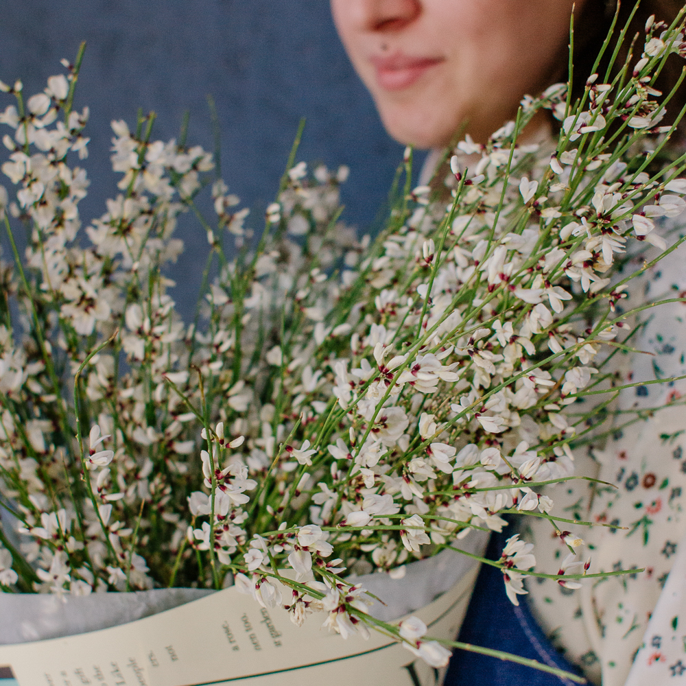 154. Весенний букет из ароматной генисты