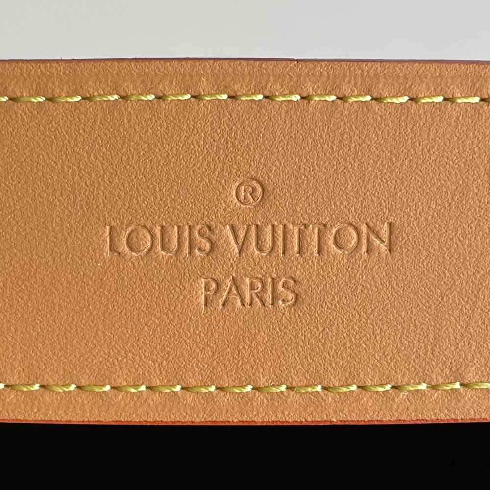 Louis Vuitton Delightful PM