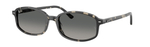 Ray-Ban RB2232 133371 Tortoise