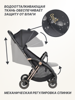 Коляска детская прогулочная COSTA Rio (Black gold/Черное золото CR-1)