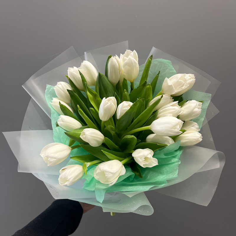 Букет из 25 белых тюльпанов