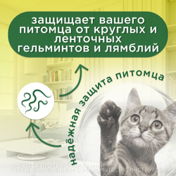 Таблетки от гельминтов и лямблий для кошек Фенпраз 6таб, Пирантел/ Празиквантел/Фенбендазол
