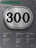 Номерок на дверь квартиры 300, для кабинета, офиса, шильдик 9 х 7 см, серебристый, Айдентика Технолоджи