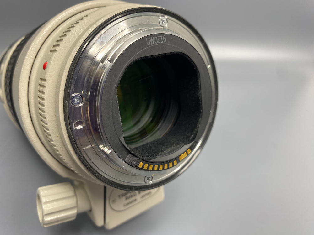 Canon EF 70-200 2.8L IS USM с нюансом