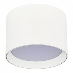 Накладной светильник ST-Luce  ST163.502.01.02