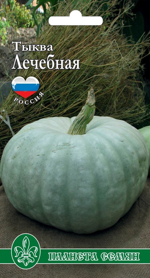 Тыква Лечебная