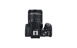 Фотоаппарат Canon EOS 250D Kit (EF-S 18-55mm f/3.5-5.6 DC III) - зеркальный, черный