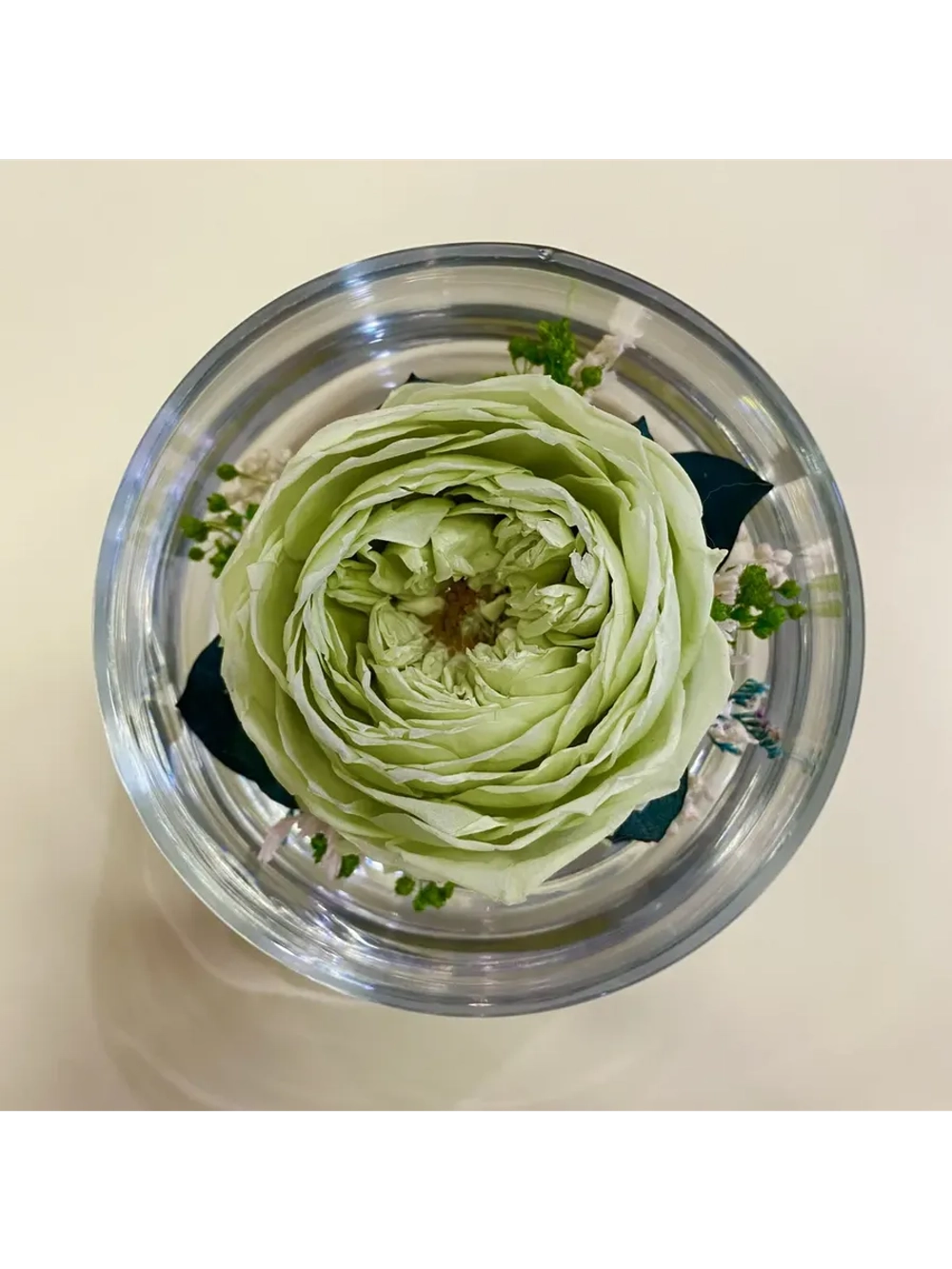 натуральный пион в стекле, вакуум*