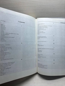 Энциклопедия заблуждений. НЛО, целители и др.