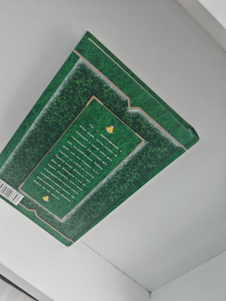 Снежный барс