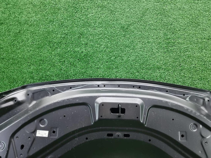 Капот Lexus RX 5 (2022-н.в.) (В пленке)