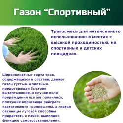 Семена газонной травы, травосмесь Спортивный газон, 1 кг/райграс пастбищный, овсяница красная, фестулолиум, овсяница луговая, райграс однолетний, мятлик луговой/Газон Сити