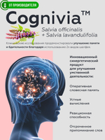 D_Erudit_klubnika_cognivia