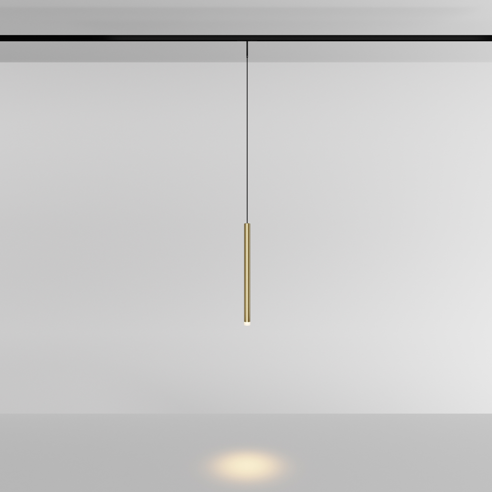 Магнитный трековый светильник Maytoni Skim TR191-1-3W3K-M-BBS