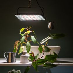 Фитопрожектор для растений светодиодный ЭРА FITO-80W-Ra90-LED-Y полного спектра