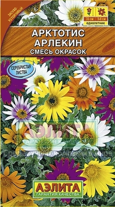 Арктотис гибридный Арлекин смесь Аэлита