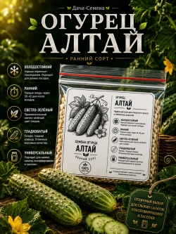 Семена огурца Алтай