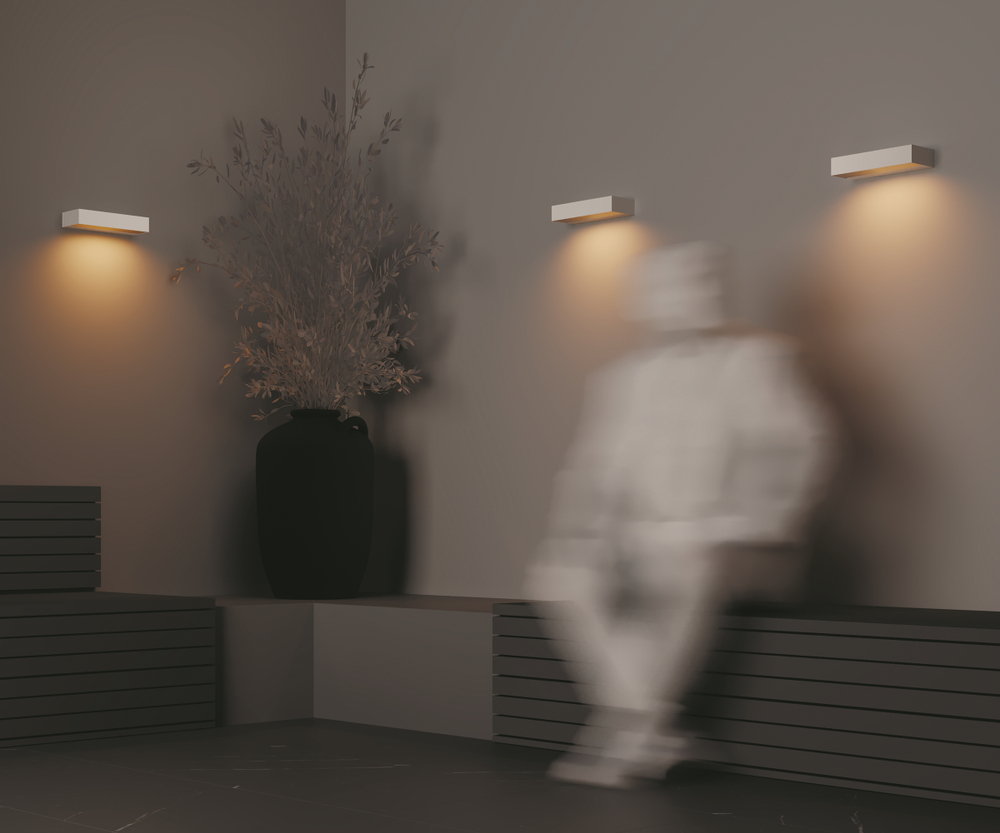 Уличный настенный светильник Outdoor O428WL-L10W3K