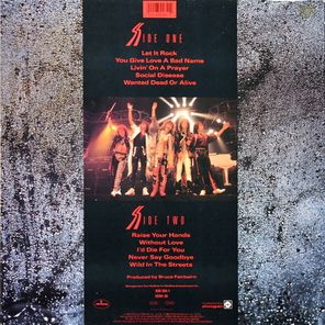 Bon Jovi / Slippery When Wet (LP)