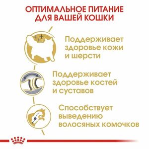 Сухой корм Royal Canin Siberian для взрослых кошек породы Сибирская от 12 месяцев