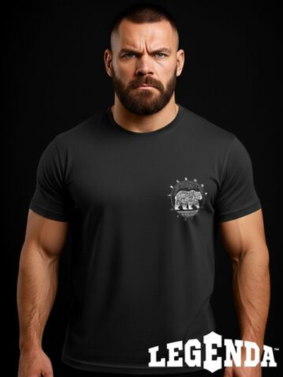 Термо штаны мужские LEGENDA Elite черные