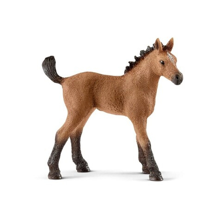 Schleich - Американский квортерхорс Quarter - Фигурка жеребенка в упаковке 13854