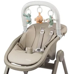 Развивающая дуга Peg Perego Activity Bar для Living