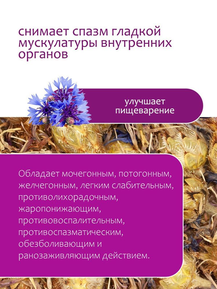 Василек синий