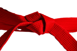 Пояс для тхэквондо ProfSport без вышивки (4 см) красный