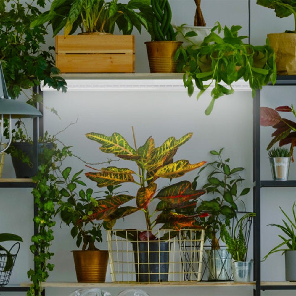 Фитолампа для растений светодиодная ЭРА FITO-9W-Ra90-Т8-G13-NL полного спектра 9 Вт Т8 G13