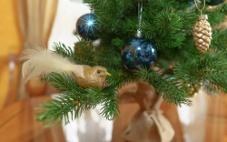 Ель Царь Елка Астерия Премиум 90см 3D