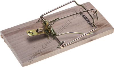 STAYER 125х60 мм, средняя, деревянная, мышеловка (40501-M)