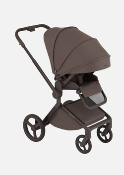 Anex Детская коляска Flo 2 в 1 Browny