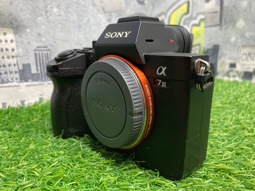 Sony A7 III (19.600 кадров)