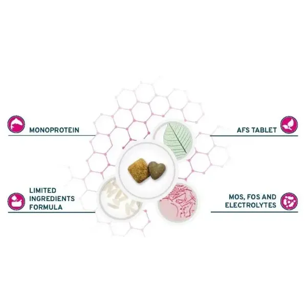 Сухой диетический корм Forza 10 Intestinal Active для собак всех пород, при проблемах пищеварения, с рыбой