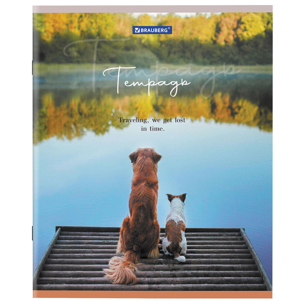 Тетрадь А5 48 л. BRAUBERG скоба клетка обложка картон "Best Friends" (микс в спайке) (20 штук в упаковке)
