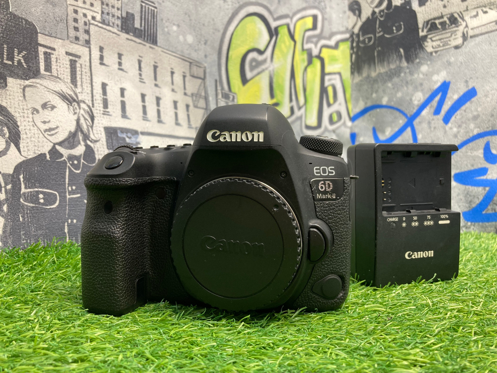 Canon EOS 6D Mark II 194.000 кадров