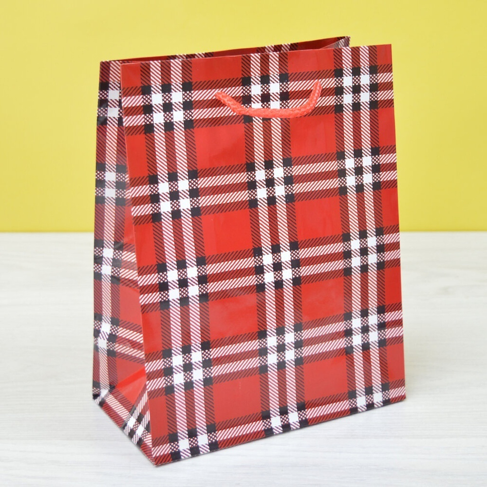 Пакет бумажный 18*23*10см с ручками "Клетки и полоски" микс